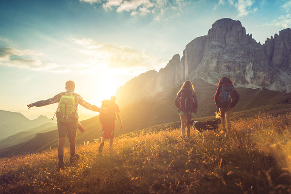 Sunlights Crucial Role in the Body
